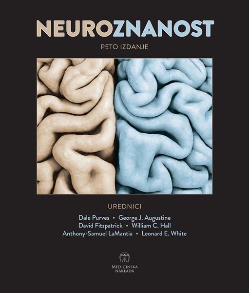 Picture of NEUROZNANOST